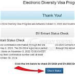 diversity visa lottery status check